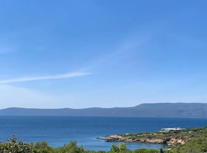 My Leos * Seferihisar