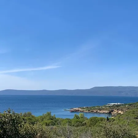 My Leos * Seferihisar